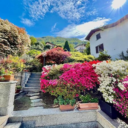 נסו Eden Sul Lago Di Como מראה חיצוני תמונה