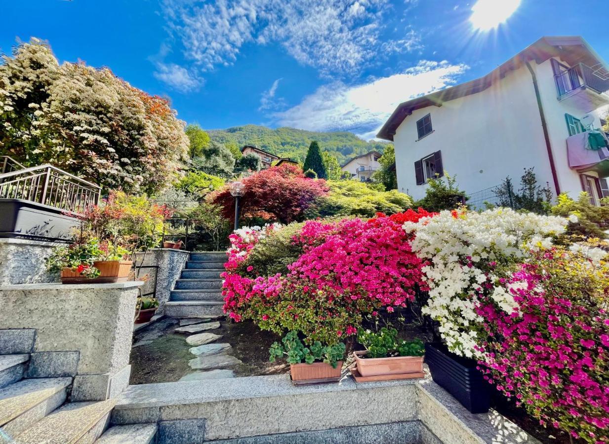 נסו Eden Sul Lago Di Como מראה חיצוני תמונה