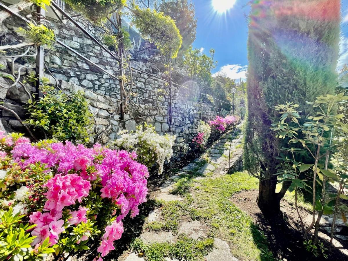 נסו Eden Sul Lago Di Como מראה חיצוני תמונה