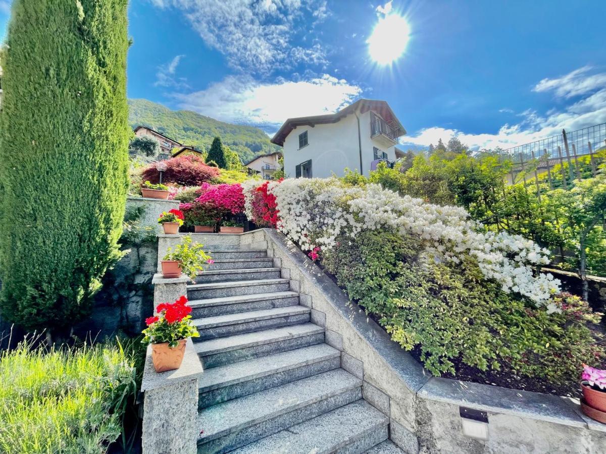 נסו Eden Sul Lago Di Como מראה חיצוני תמונה