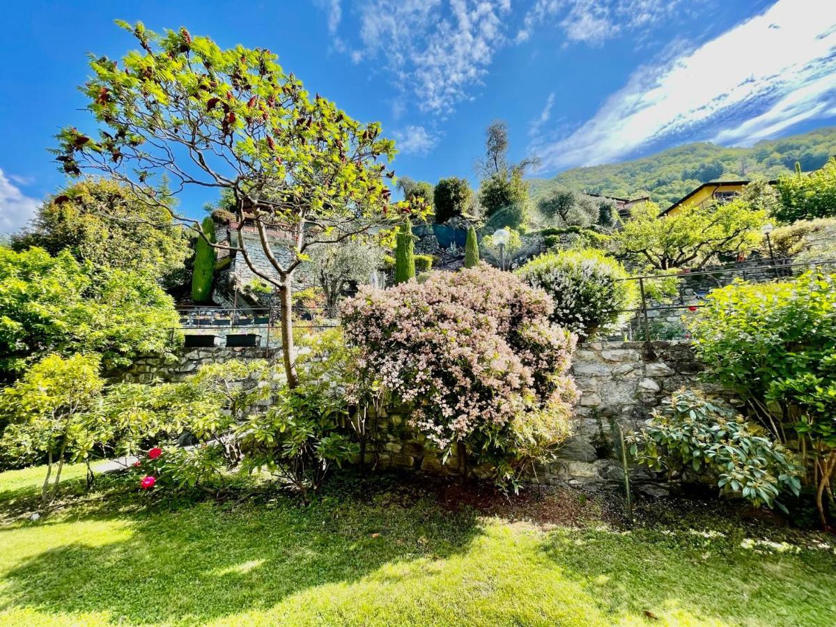 נסו Eden Sul Lago Di Como מראה חיצוני תמונה
