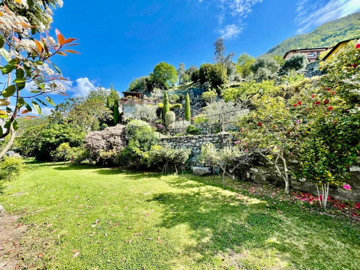 נסו Eden Sul Lago Di Como מראה חיצוני תמונה